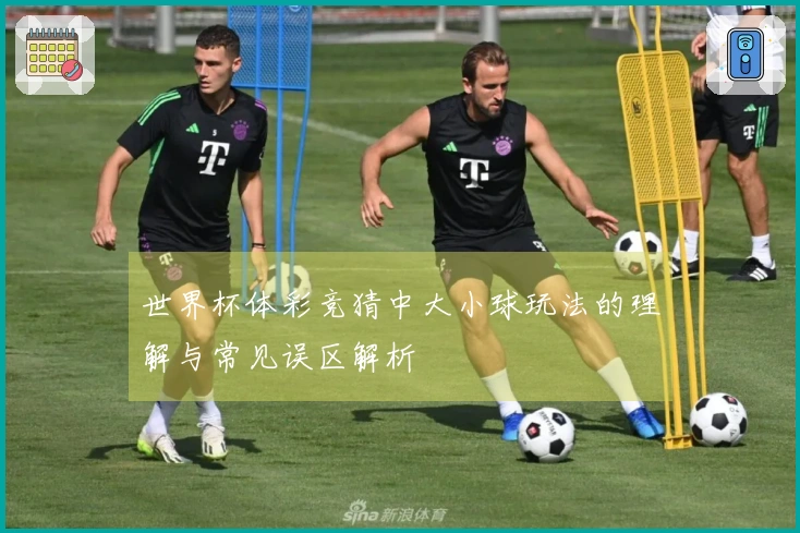 世界杯体彩竞猜中大小球玩法的理解与常见误区解析